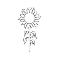 girasol en un continuo uno línea estilo mano dibujado contorno de flor aislado en blanco antecedentes vector