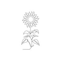 Sunflower in a continuous one line style hand drawn outline of flower isolated on white background vector