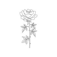 Continuous line drawing of rose flower vector illustration hand drawn decorative beautiful design minimalist