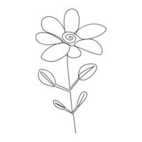 Romantic Flower in one line art outline drawing on white background minimal vector stroke