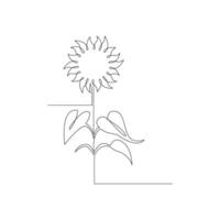 Sunflower in a continuous one line style hand drawn outline of flower isolated on white background vector