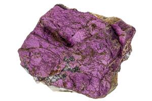 Macro mineral stone purpureus, purple purpurite in the breed a white background photo