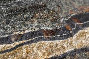 ojo de serpiente de piedra mineral macro en la roca un fondo blanco foto