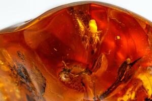 Macro Amber mineral stone with spider on white background photo