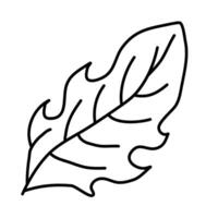 leaf of summer doodles icon set vector