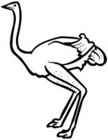 hand drawn ostrich. vector illustration.