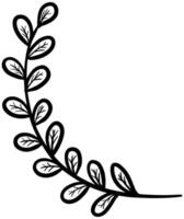 Leaves hand drawn illustration. Ornament outline vector