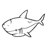 shark icon. Hand drawn vector illustration. Sea animal predator.