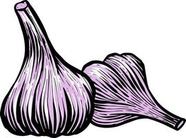 Garlic icon  style color vector illustration