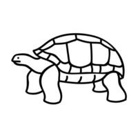 Galapagos giant tortoise icon. Hand drawn vector illustration. Editable line stroke.