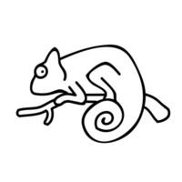 Chameleon on tree branch icon. Hand drawn vector illustration. Editable line stroke