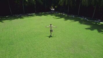 man does yoga on the lawn against the background of palm trees video