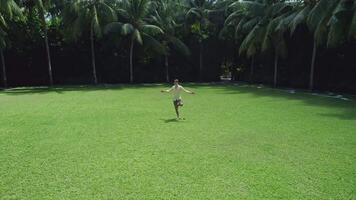 Mens doet yoga Aan de gazon tegen de achtergrond van palm bomen video