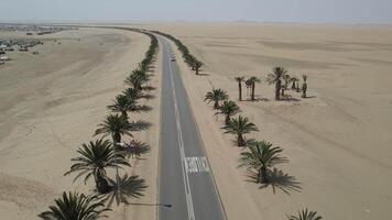 asfalto estrada dentro a Namíbia deserto com Palma árvores em a lados video