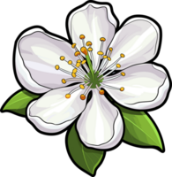 AI generated Apple flower blossom clipart design illustration png