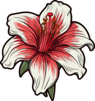 ai gerado amarilis flor clipart Projeto ilustração png