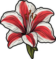 ai gegenereerd amarylis bloem clip art ontwerp illustratie png