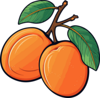 AI generated Apricot fruit clipart design illustration png