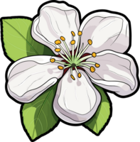 AI generated Apple flower blossom clipart design illustration png