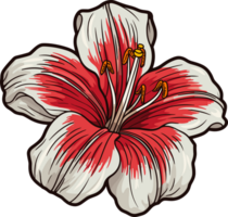 ai généré amarylis fleur clipart conception illustration png