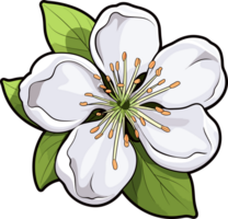 AI generated Apple flower blossom clipart design illustration png