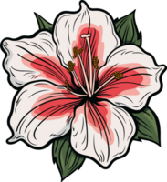 ai gerado amarilis flor clipart Projeto ilustração png