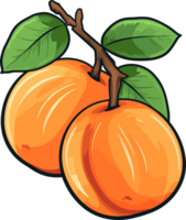 AI generated Apricot fruit clipart design illustration png