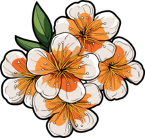 ai généré abricot fleur clipart conception illustration png