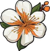 AI generated Apricot flower clipart design illustration png