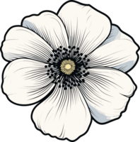 AI generated Anemone flower clipart design illustration png