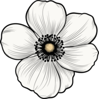 AI generated Anemone flower clipart design illustration png