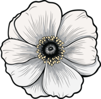 AI generated Anemone flower clipart design illustration png