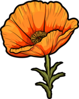 AI generated Poppy flower clipart design illustration png