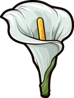 ai gegenereerd calla lelie bloem clip art ontwerp illustratie png