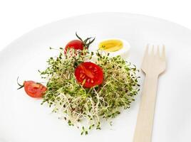 Heap of alfalfa sprouts on white plate with wooden fork and knife photo