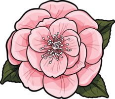 ai généré camelia fleur clipart conception illustration png