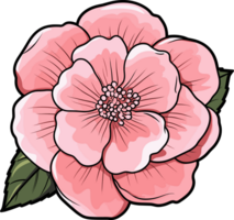 ai genererad camelia blomma ClipArt design illustration png