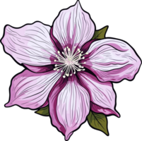 ai generado clemátide flor clipart diseño ilustración png