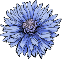 AI generated Cornflower clipart design illustration png