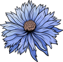 AI generated Cornflower clipart design illustration png