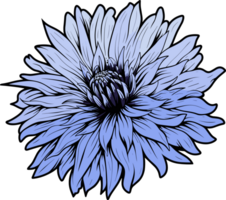 AI generated Cornflower clipart design illustration png