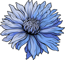 AI generated Cornflower clipart design illustration png