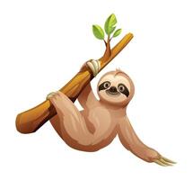 Sloth hanging from tree branch. Cartoon vector illustration isolated on white background