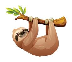 Sloth hanging from tree branch. Vector cartoon illustration isolated on white background