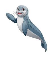 Cartoon seal waving hand. Vector illustration isolated on white background