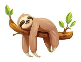 Cartoon sloth sleeping on tree branch. Vector illustration isolated on white background