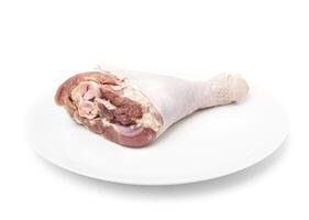 One RAW turkey leg on a white plate photo