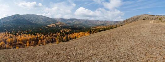 Panoramic view of the mountain range with a winding road ahead, in the valley stretches a golden autumn forest of spruces, pines. Clear and bright sky with white clouds, sunny day in the mountains, photo