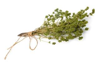 Dry thyme pile and plants with stalks isolated on white photo