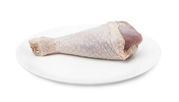 One RAW turkey leg on a white plate photo